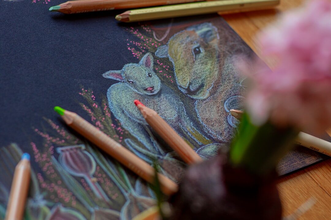 blog illustration drawing