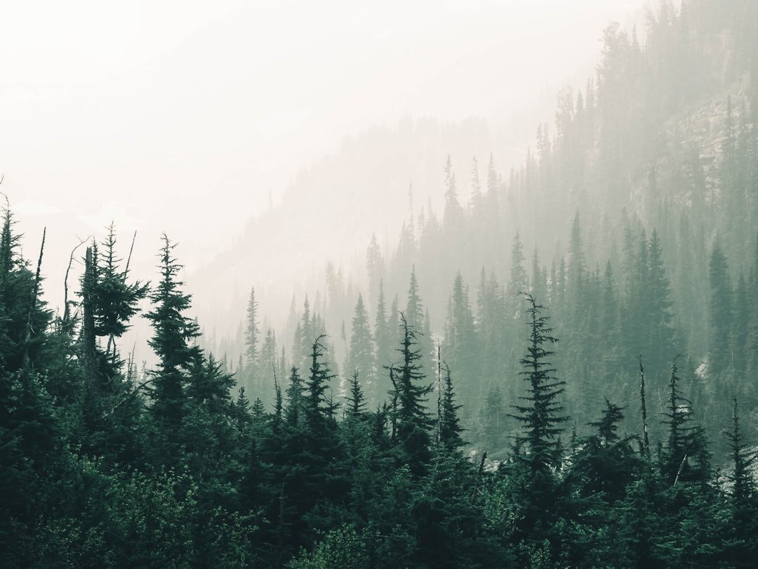 nature inspiration